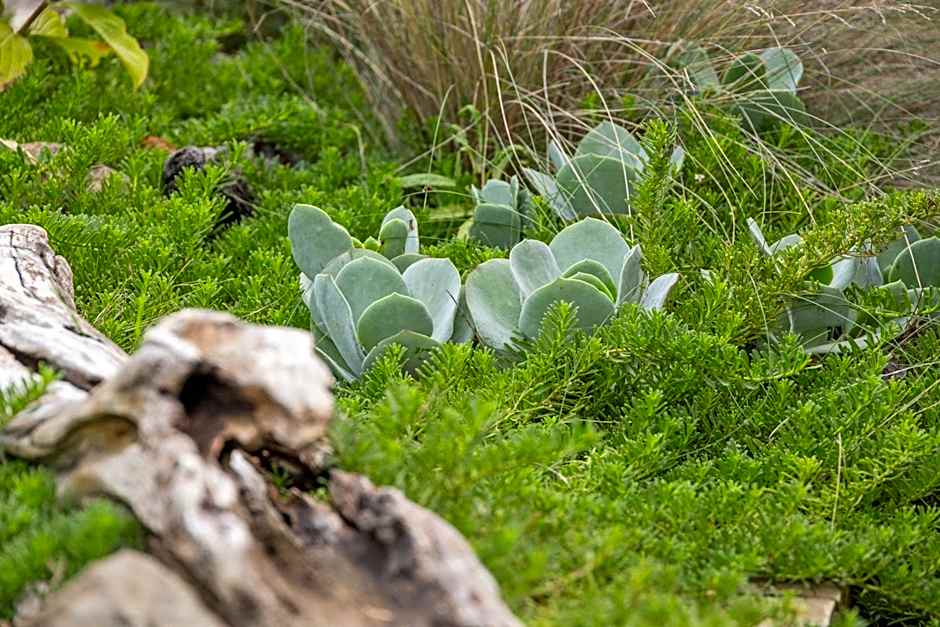 Bruny Island Escapes and Hotel Bruny