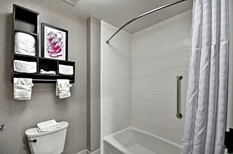 1 King Bed 1 Bedroom Suite Nonsmoking