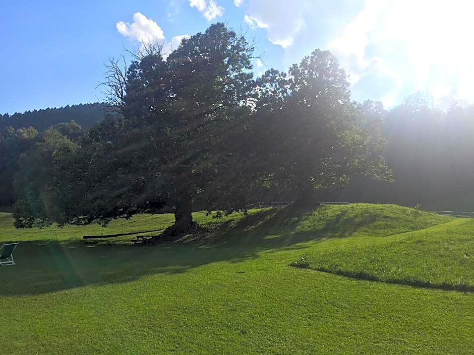 Hotel Villa Simplicitas