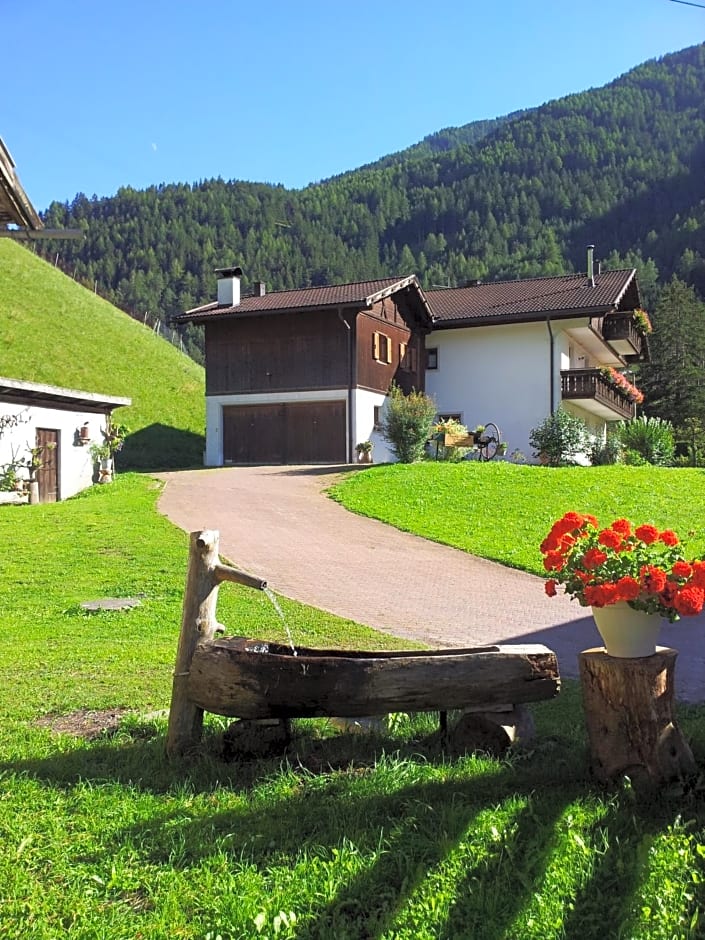 Ferienhaus-Grünfelder