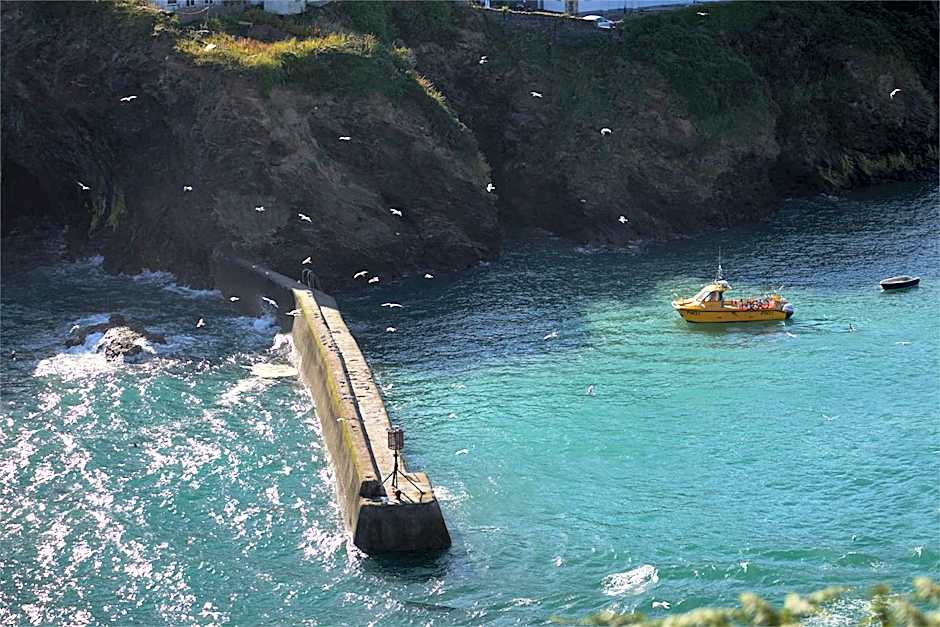 Outlaw's Guest House