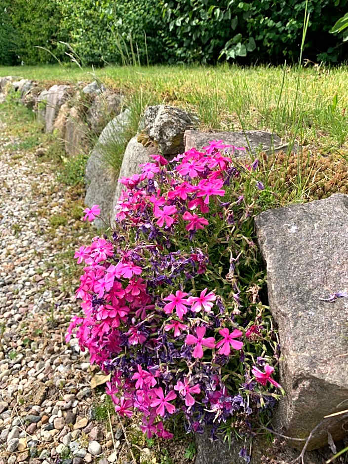 Reet und Meer Beckerwitz