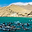 La Hacienda Bahia Paracas