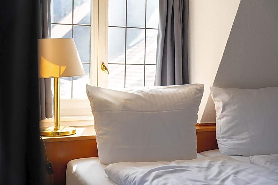 Hotel zum Ritter St Georg - Oldest Residential Building in Heidelberg since 1592