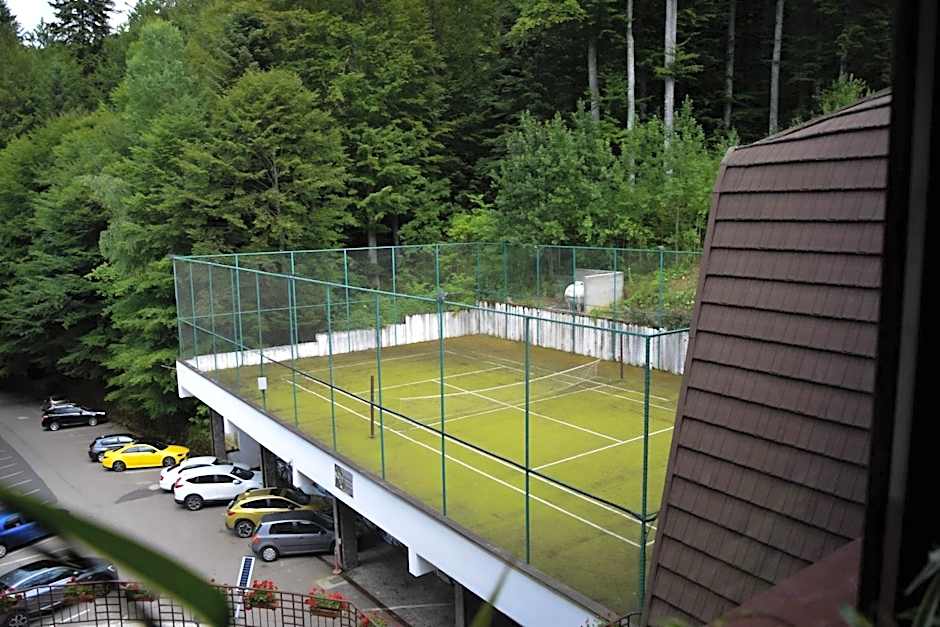 Hotel Valea cu Pesti
