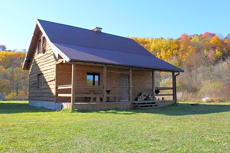 Domki w Smolniku z możliwością apiterapii