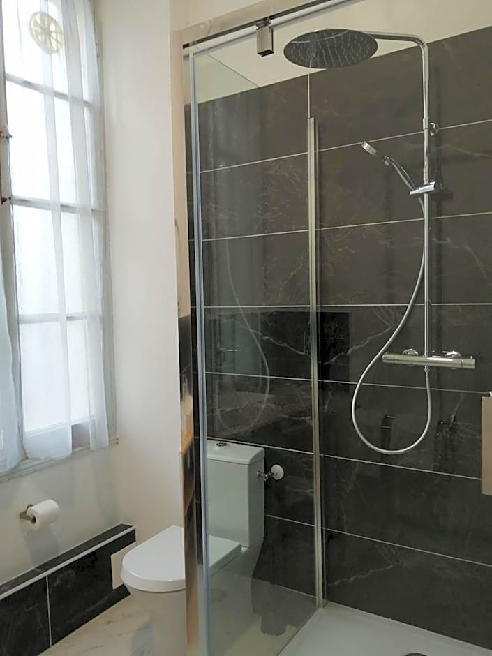 Hotel Du Cygne Tours
