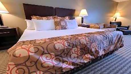 1 King Bed, No Smoking