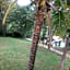 Pousada Vila Cintra