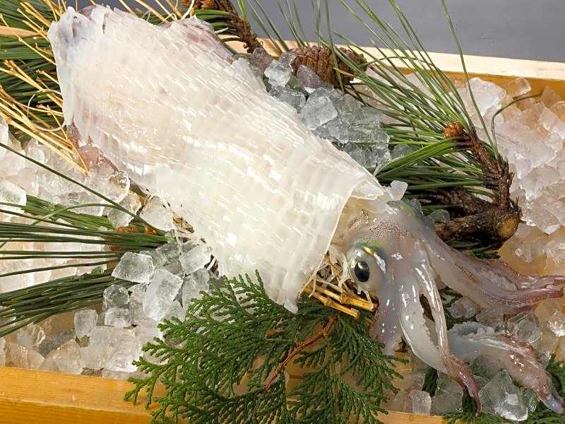 kokuminshukusya hadomisaki