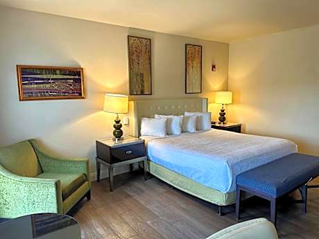 1 King Bed Deluxe Room Non-Smoking