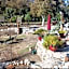 Sequoia River Front Cabins
