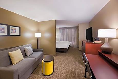 1 King Bed, Suite, Nonsmoking