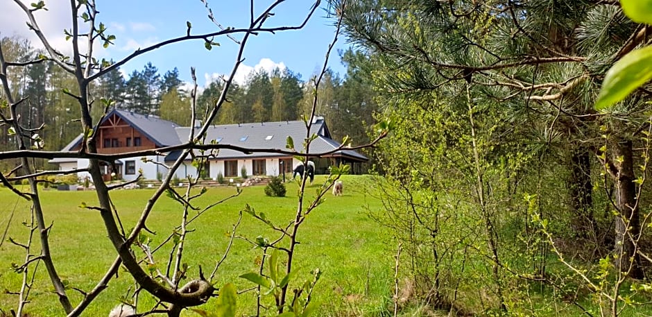 Majątek Morgi