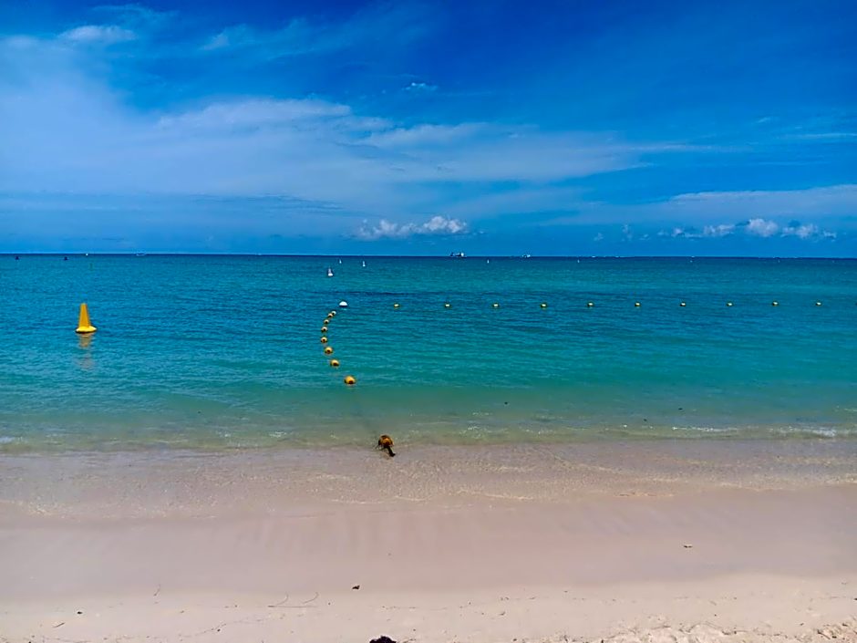Le Choisy Mauritius