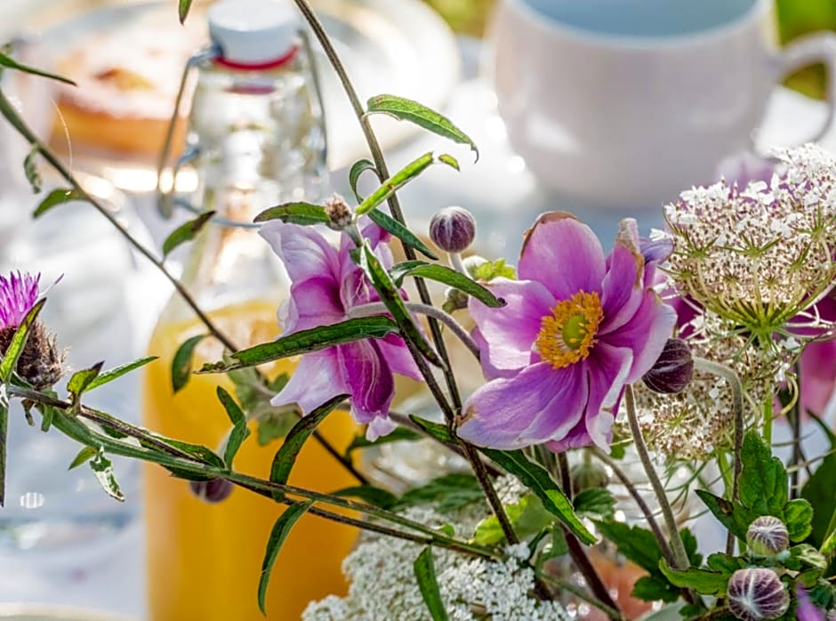 Les gites de Kerégal - la cabane de Charlotte