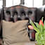Balfour Arms