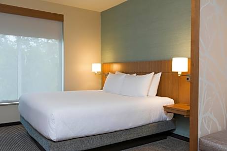 King Room with Sofa Bed and Accessible Shower - Disability Access