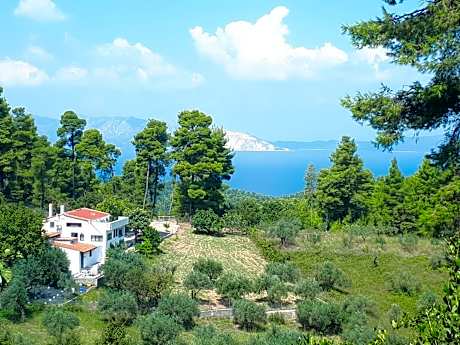 Wildherb House