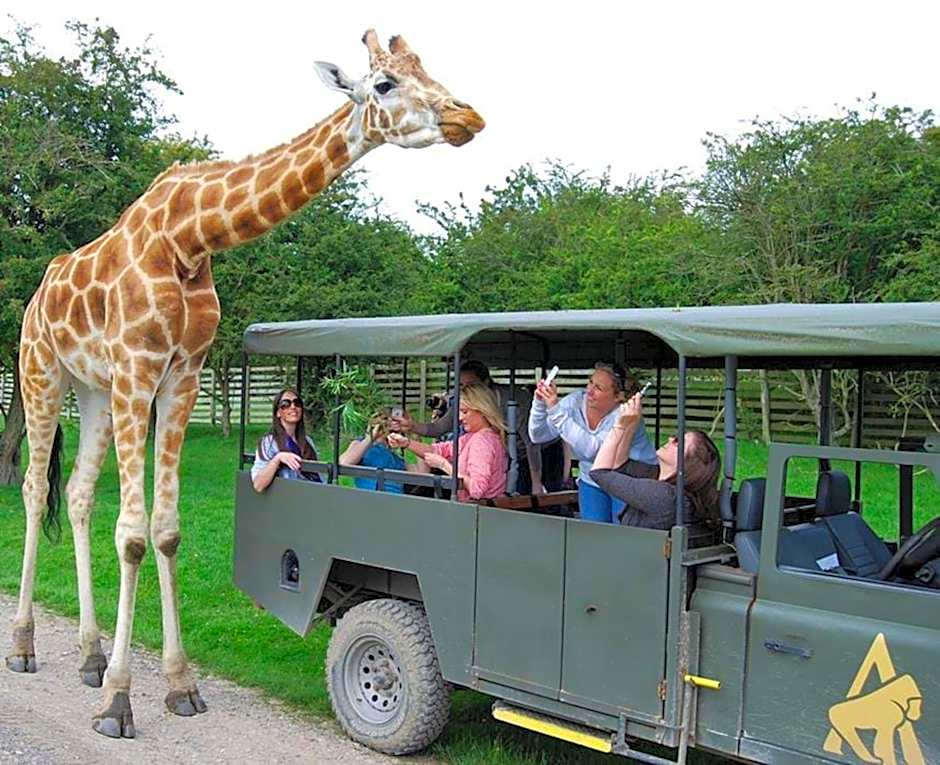 Holiday Inn Express Folkestone Channel Tunnel By IHG