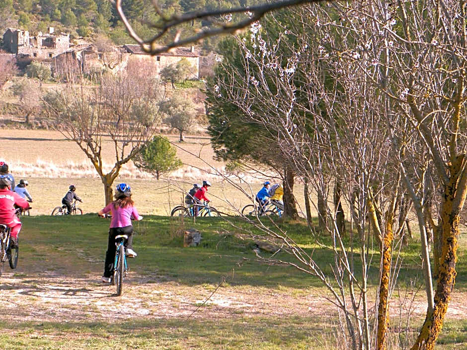 Complejo Rural Las Lomas de Biar