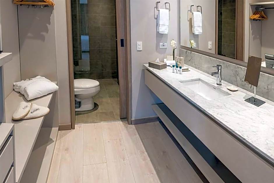 York Medellin, Curio Collection by Hilton