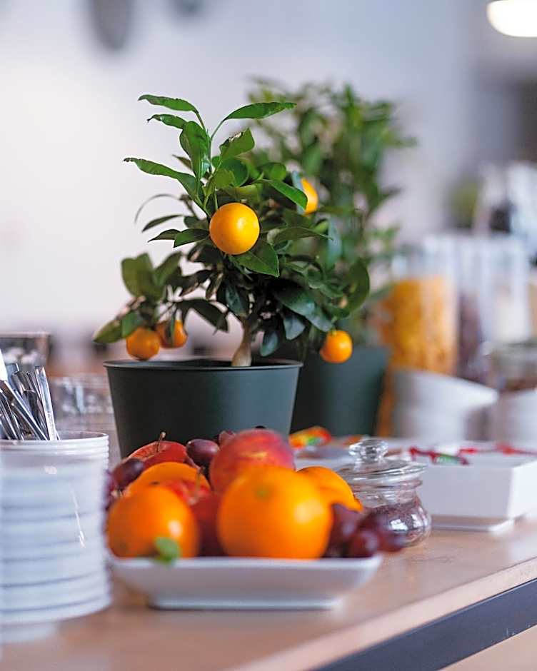 City Center Rooms Piotrkowska 91