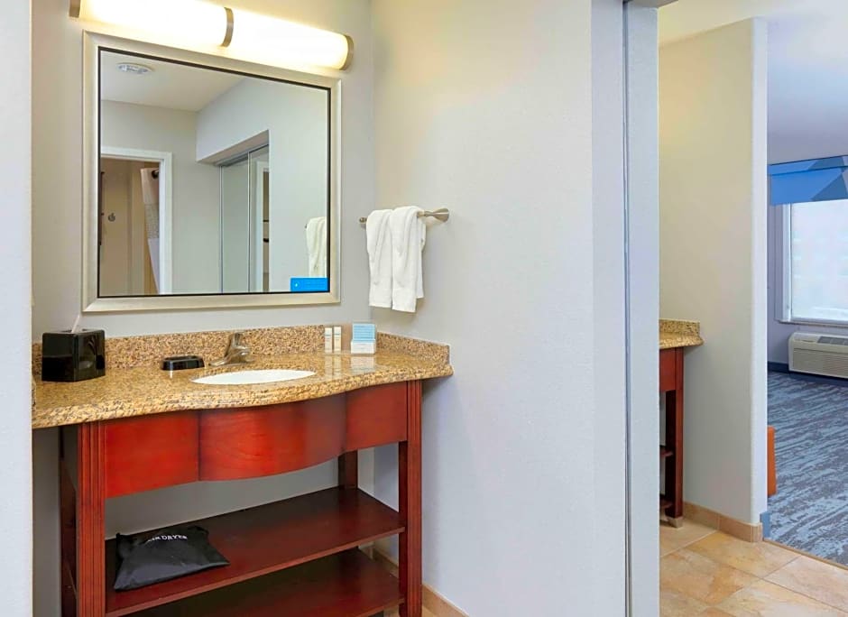 Hampton Inn By Hilton & Suites Dallas-Arlington-South