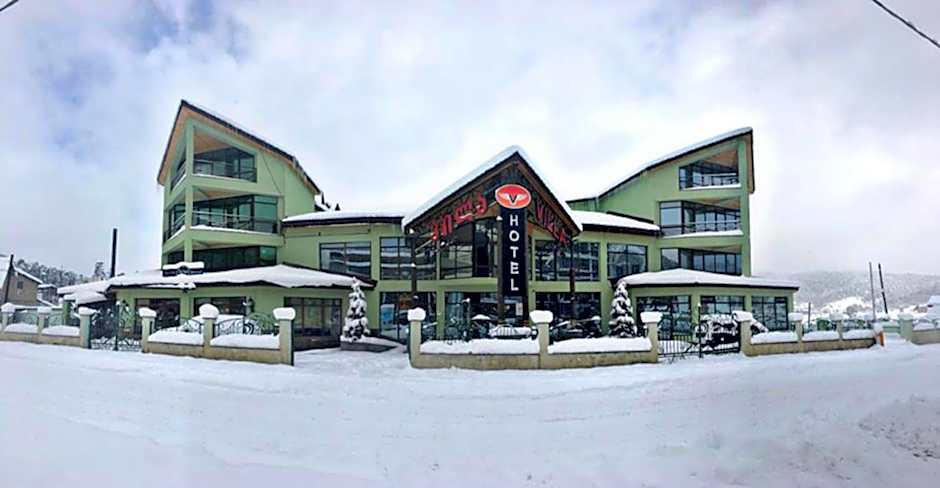 Hotel Villa Palace