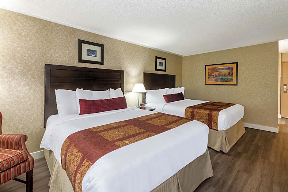 Foto 1 dari 5 — 2 Queen Beds