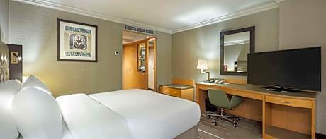King Deluxe Room