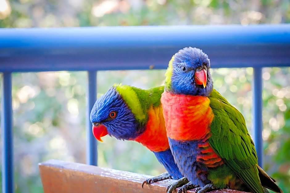 Sanctuary Lake Apartments