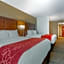 Comfort Suites Knoxville North