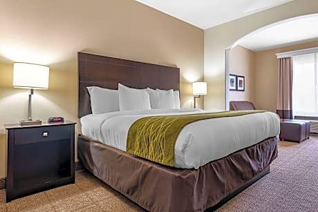 1 King Bed Efficiency Suite Nonsmoking Accessible