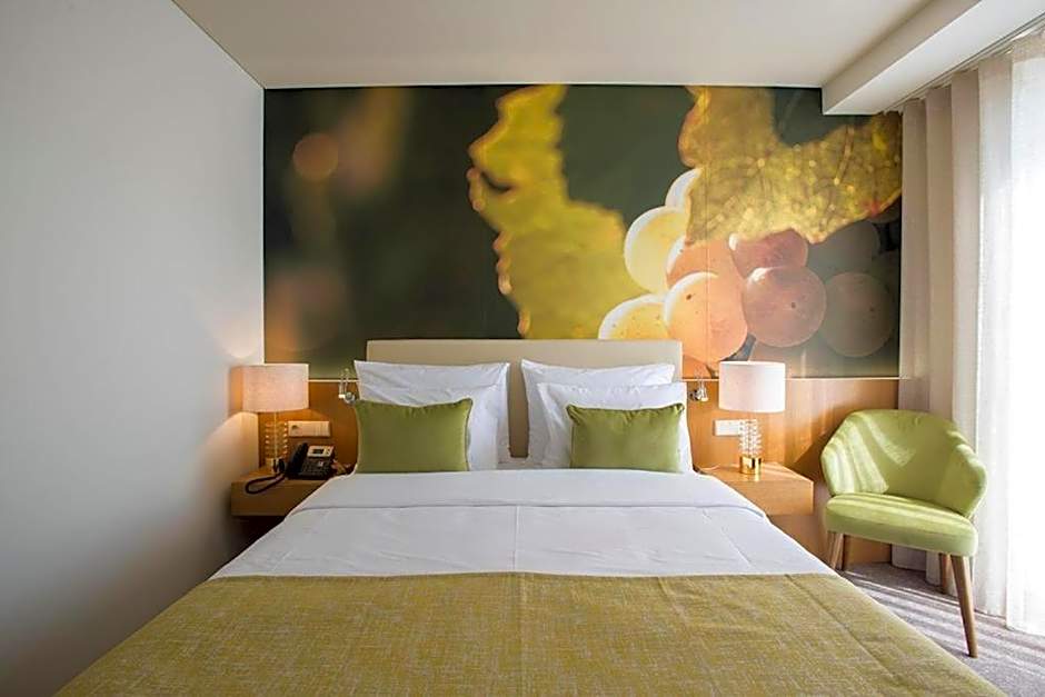 Douro Castelo Signature Hotel & Spa