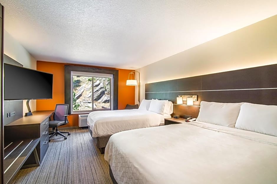 Holiday Inn Express Hotel & Suites Custer