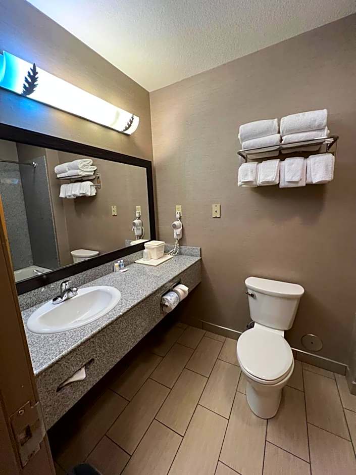 Comfort Suites Boise West Meridian