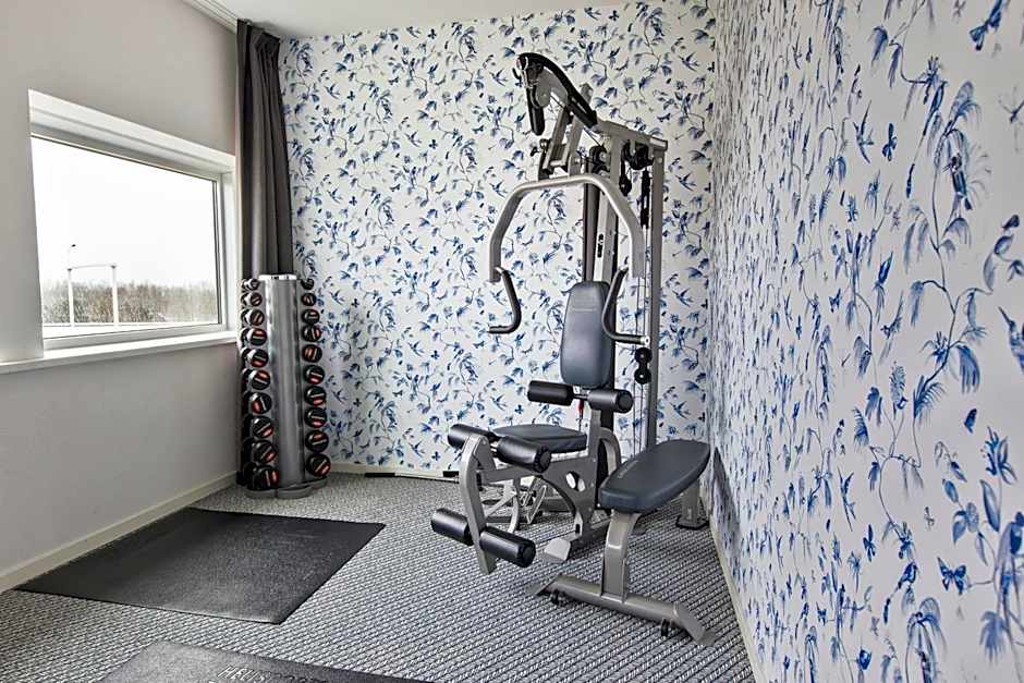 ibis Styles Amsterdam Airport