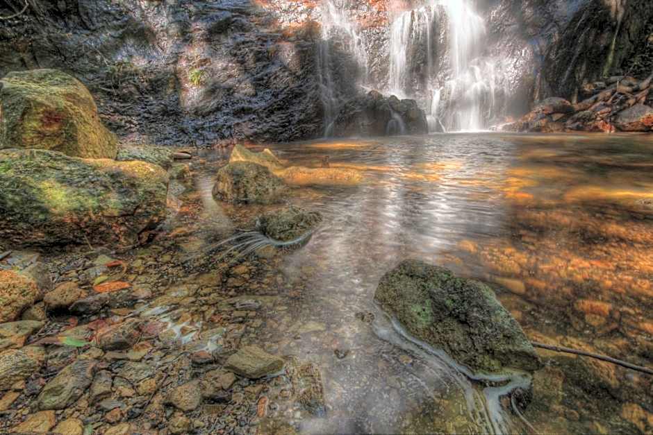 Binna Burra Sky Lodges