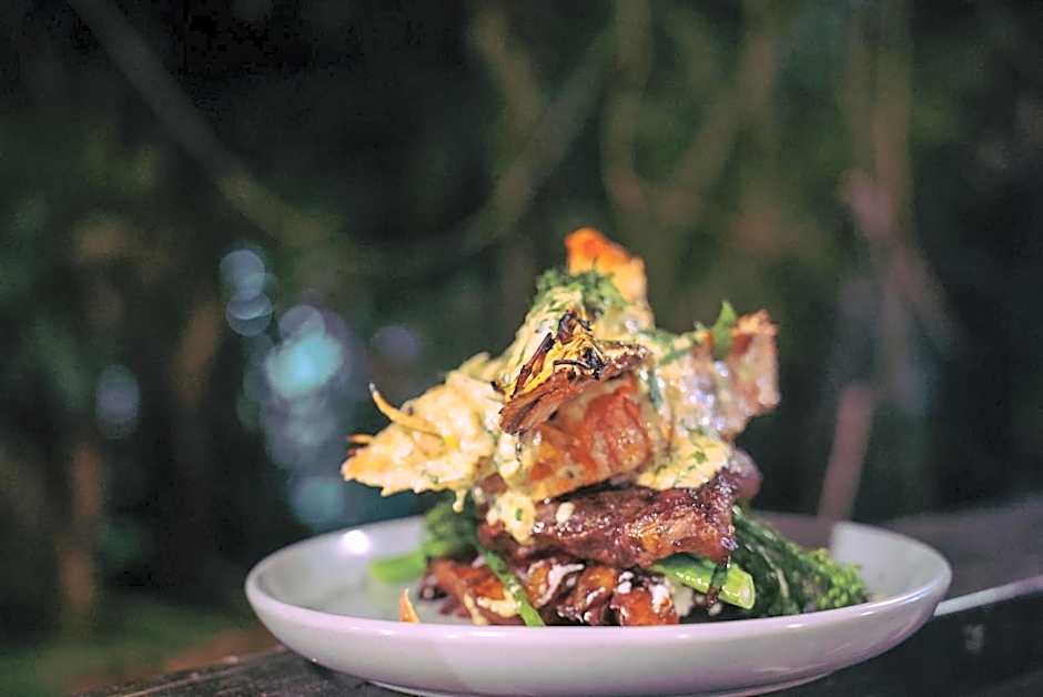 Ferntree Rainforest Lodge