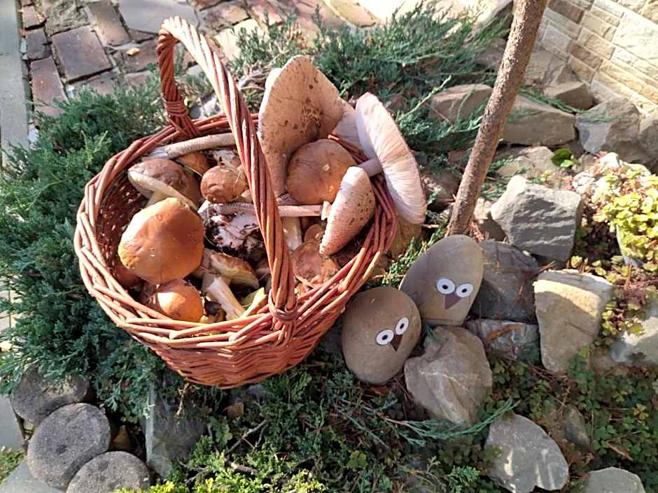 Gospodarstwo Agroturystyczne Borówkowy Bukiet Smaków