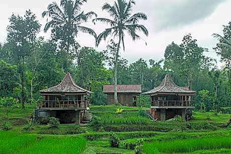 Tepi Sawah Lodge