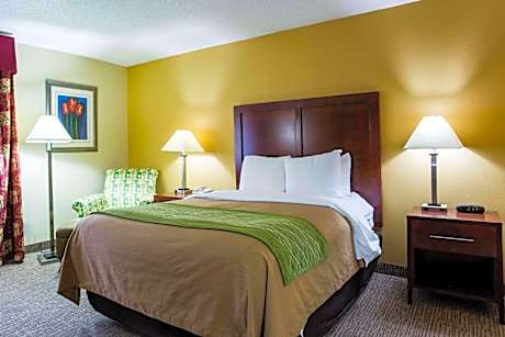 King Room - Accessible/Non-Smoking