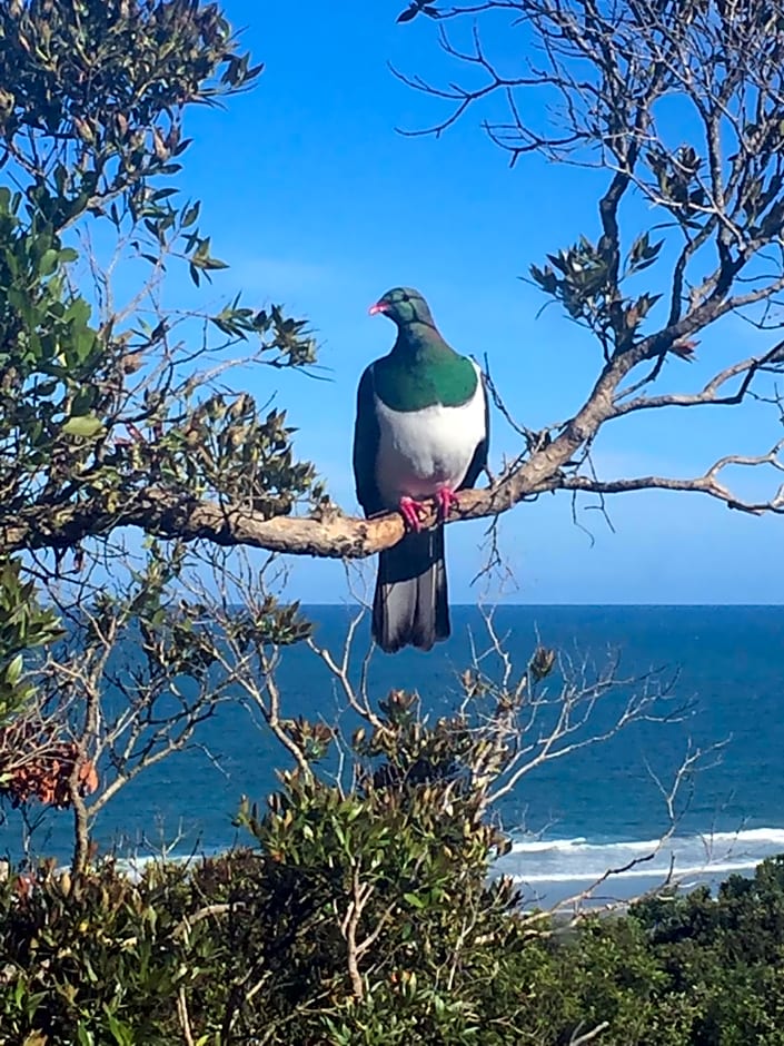 Nugget View Kaka Point Motels