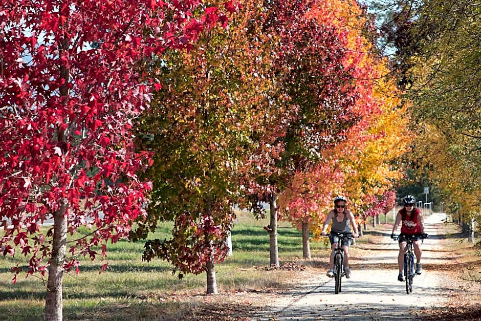 The Harrietville Snowline Hotel
