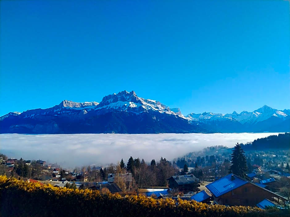 Chalet-Hôtel Les Rhodos