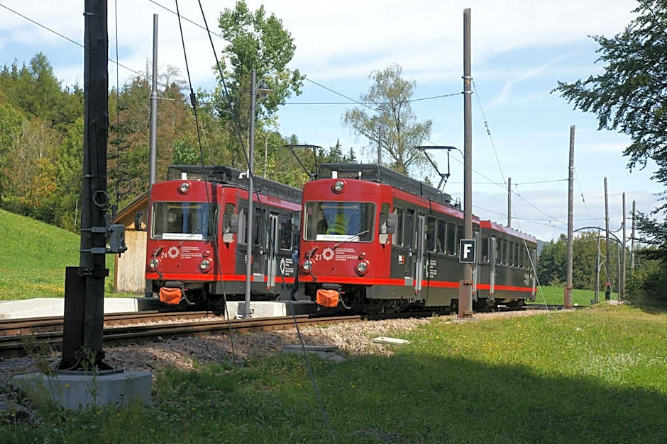 APIPURA hotel rinner