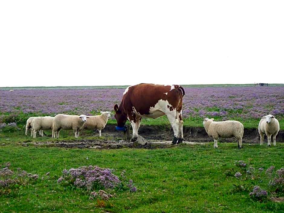 Landhaus Pfahlershof