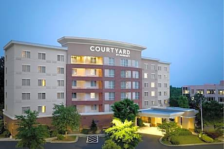 Courtyard by Marriott Atlanta NE/Duluth Sugarloaf