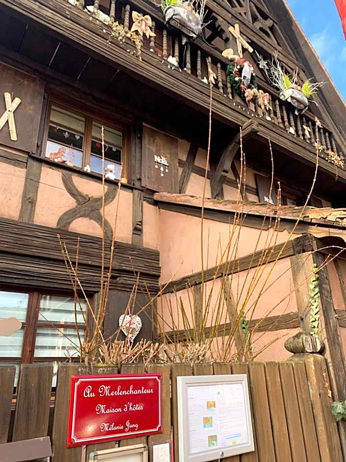 Gîte de caractère au calme , proche quartier historique, Au Merlenchanteur